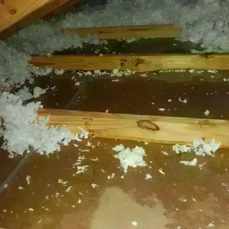 Attic Water Damage in Jackson County, MN