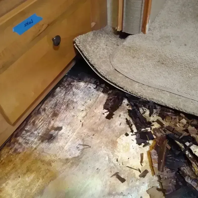 Wood Floor Water Damage in Jackson County, MN